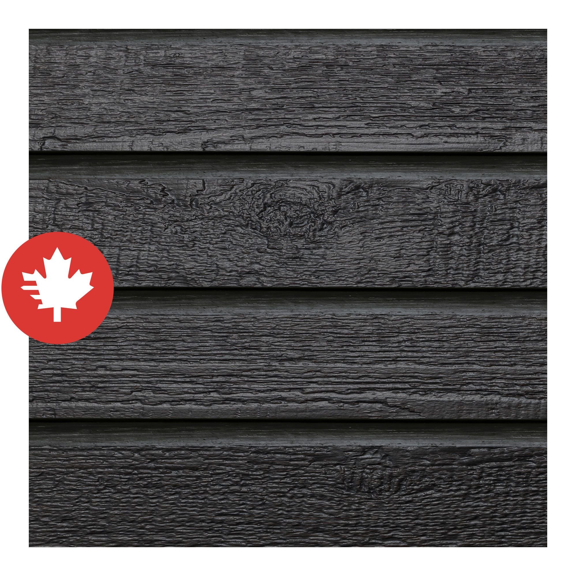 PaleNeØ/レゾンテノール Raison d'etre | PaleNeØ Official Website