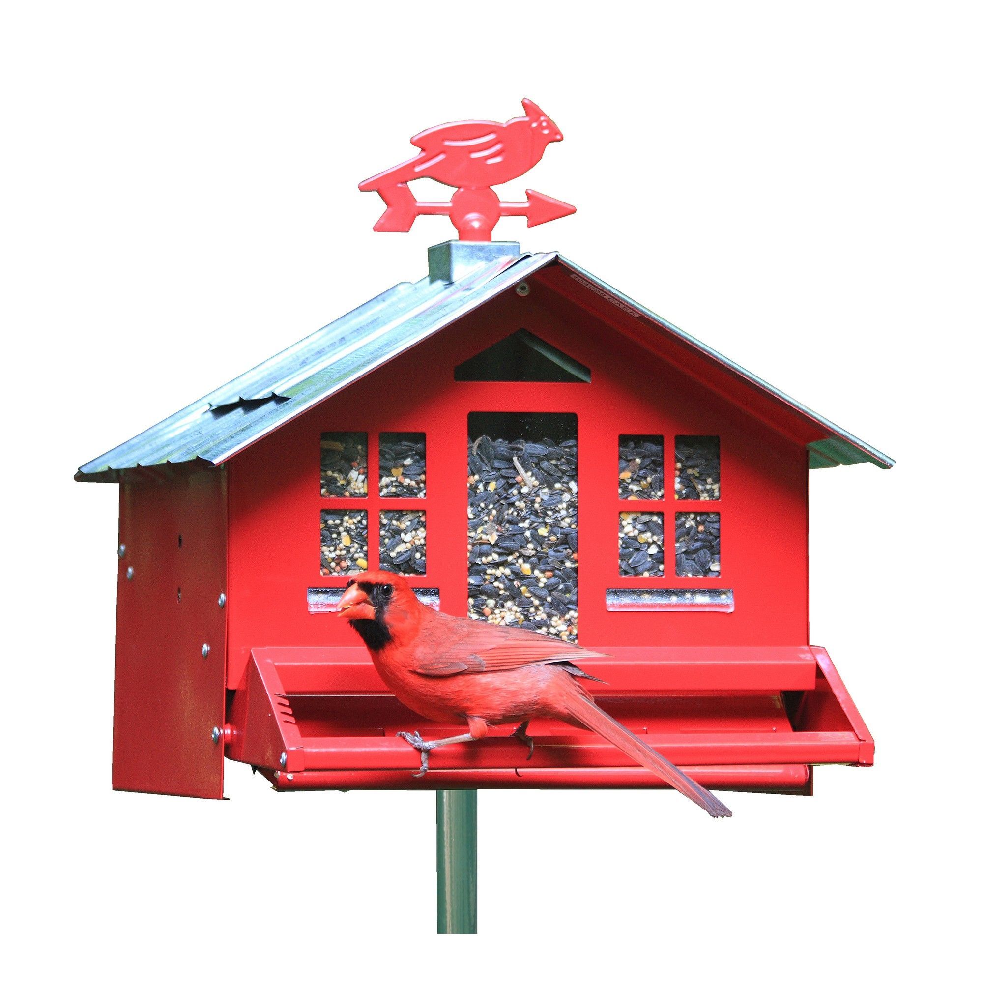 Mangeoire à Oiseaux En Acier Corten METALBIRD - Déco De Jardin Résistante Aux Intempéries - Fabriquée Au Royaume-Uni - 12