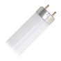 Tube fluorescent, T8, blanc froid, 15 W, 18"