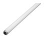 Tube fluorescent, T12, blanc froid, 60 W, 48"
