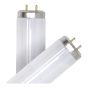 Tube fluorescent, T12, blanc froid, 20 W, 24", 2/pqt
