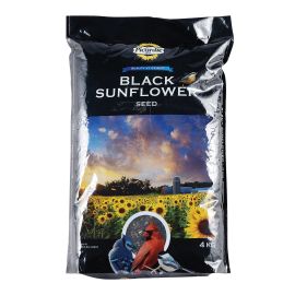 Graines de tournesol noir pour oiseaux sauvages, 4 kg