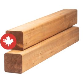 Treated Wood - Brown - 4" x 4" x 6'