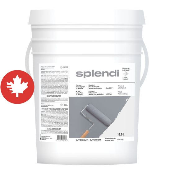 Paint SPLENDI - Flat - White - 18.9 l
