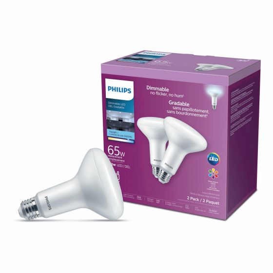 Ampoules DEL BR30, 65 W, Lumière du jour, 2/pqt