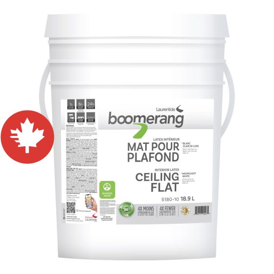 Boomerang Recycled Paint - Ceiling Flat - Moonlight- White - 18.9 l
