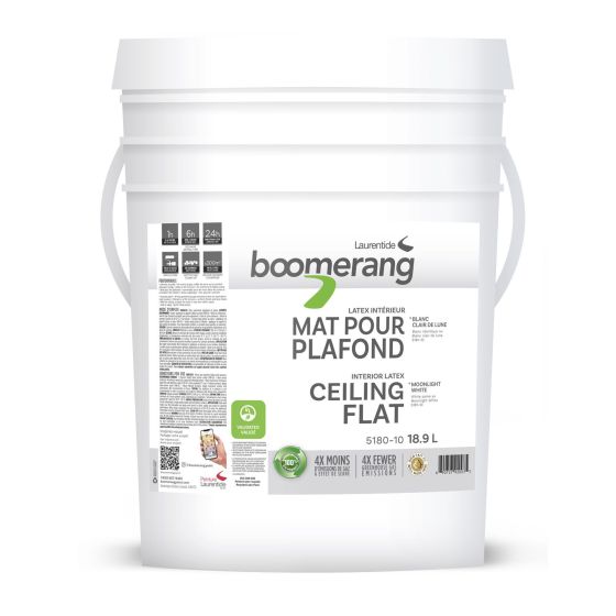 Boomerang Recycled Paint - Ceiling Flat - Moonlight- White - 18.9 l
