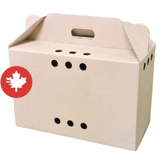 Boîte de transport pour petits animaux, 18" x 9" x 12"