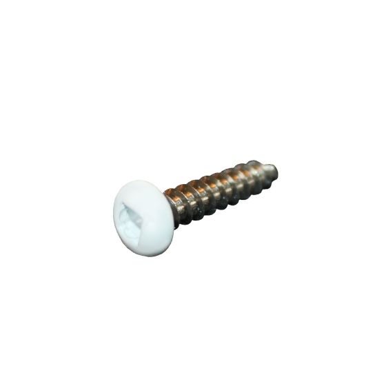 Screw - Stainless Steel - #8 x 3/4" - White - 500/Pkg