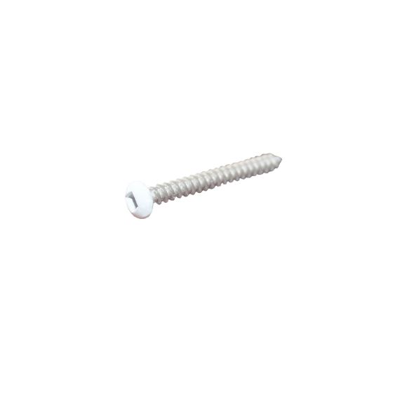 Screw - Stainless Steel - #8 x 1 1/4" - White - 500/Pkg