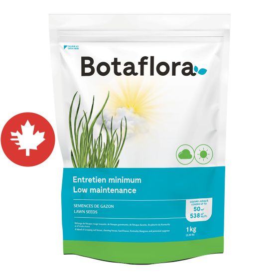 Semence gazon, entretien minimum, 1 kg