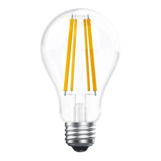 Ampoule DEL A21, 16 W, intensité variable, lumière du jour