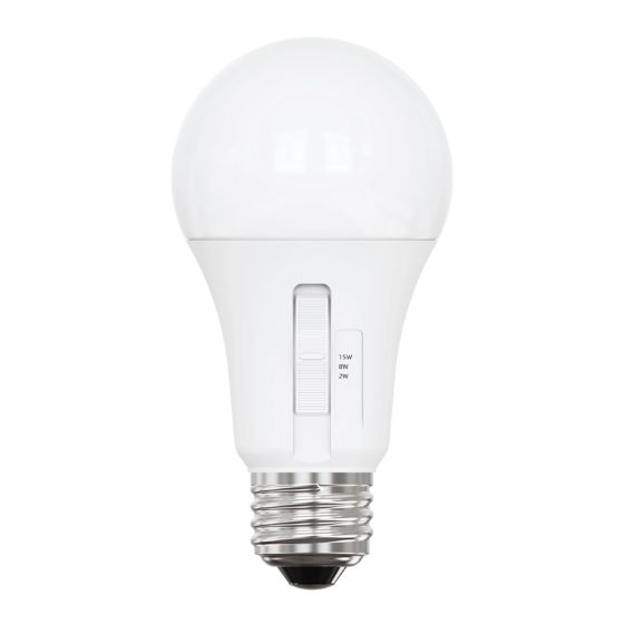 Ampoule DEL A19, 2/8/15 W, intensité variable