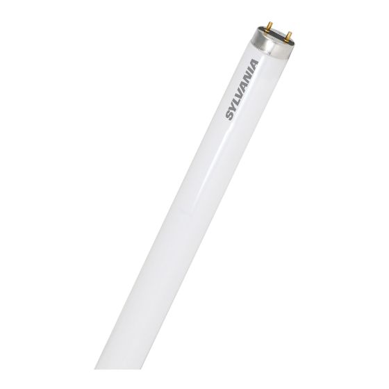 Tube fluorescent T8, lumière du jour, 32 W, 48 po, 12/pqt