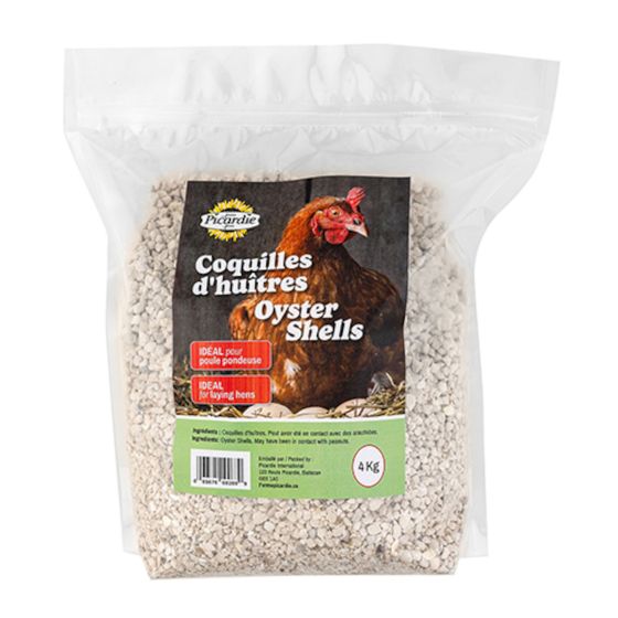 Coquilles d’huîtres pour poules pondeuses, 4 kg
