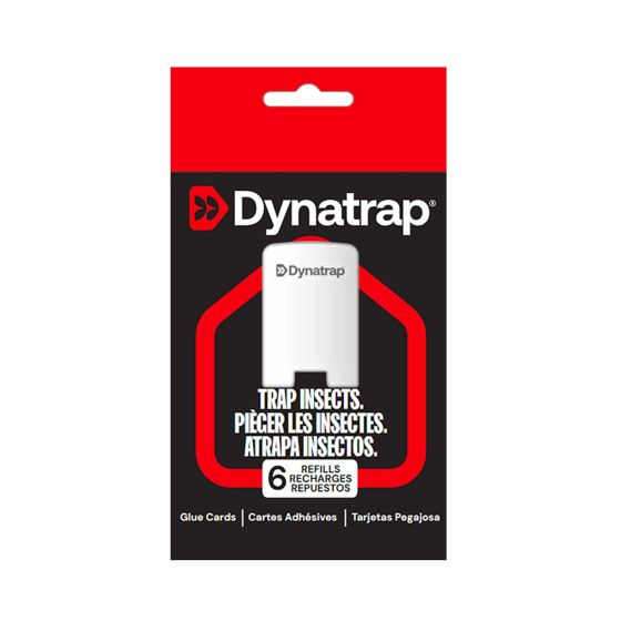 Glue Card Refills for Indoor Fly Traps - 6/Pkg