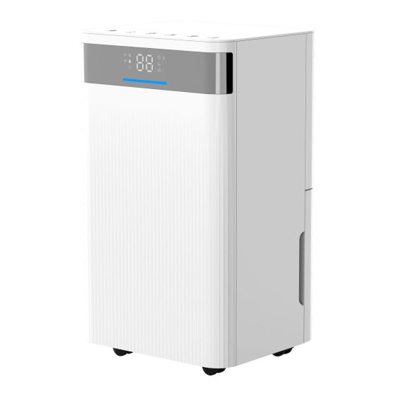 25-Pint Dehumidifier - Compact
