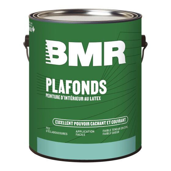 Interior Latex Ceiling Paint - 3.78 L