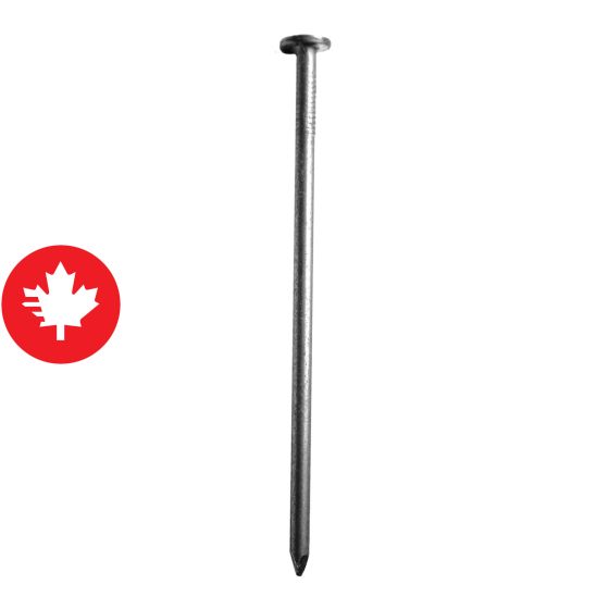 Clous communs brillants, 3 1/2", 150/pqt