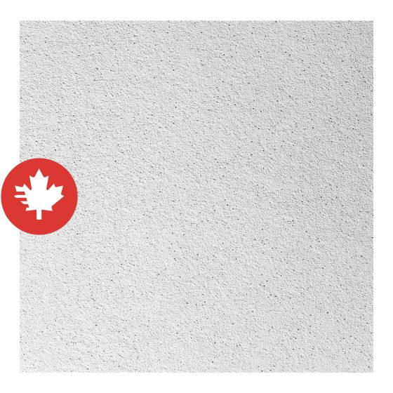 Panneau de plafond, 2' x 2', blanc, 16/pqt