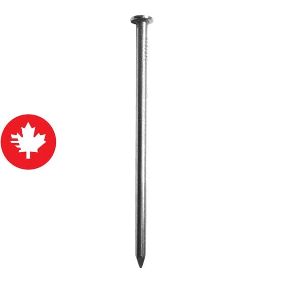 Clous communs brillants, 2 1/2", 550/pqt