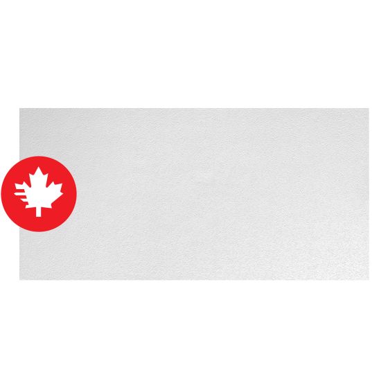 Panneau de plafond, 2' x 4', 8/pqt, couvre 64 pi²