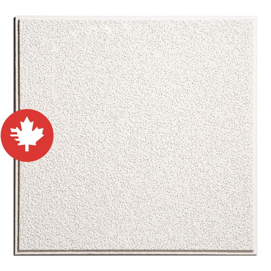 Tuile de plafond, Alpine, 2' x 2', 16/pqt, couvre 64 pi²