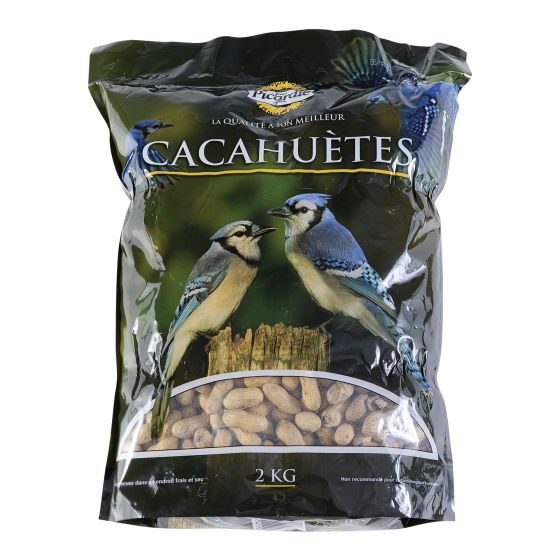 Peanuts for Wild Birds - 2 kg