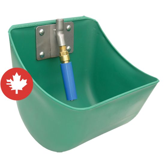 Abreuvoir à cheval et vache