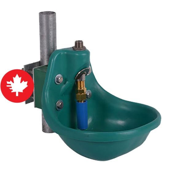 Abreuvoir automatique pour bovins et chevaux