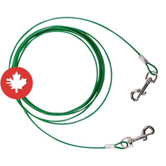 Câble d'attache pour chien et chat