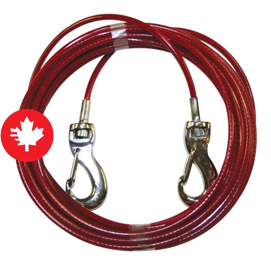 Câble d'attache pour chien avec mousqueton