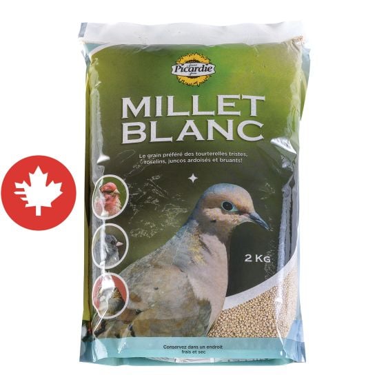 Millet blanc pour oiseaux sauvages, 2 kg