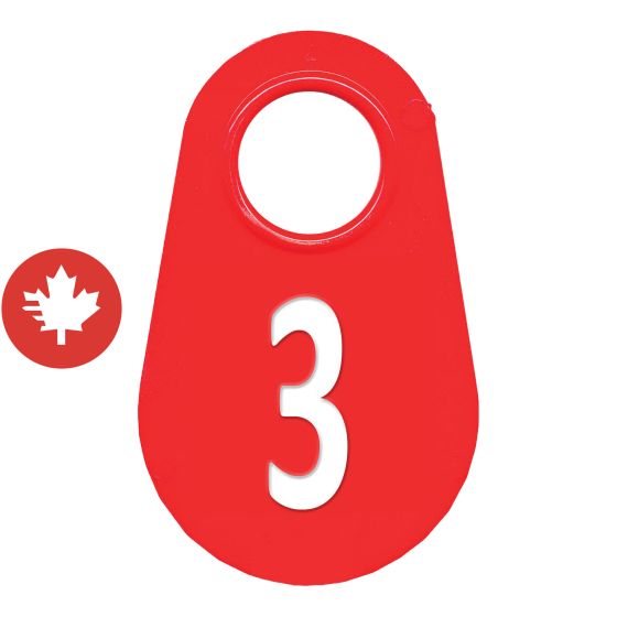 Étiquette d'identification pour le cou #3