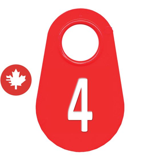 Étiquette d'identification pour le cou #4