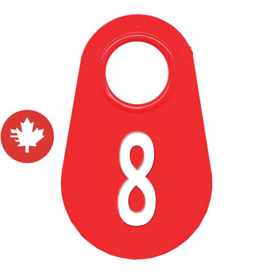 Étiquette d'identification pour le cou #8