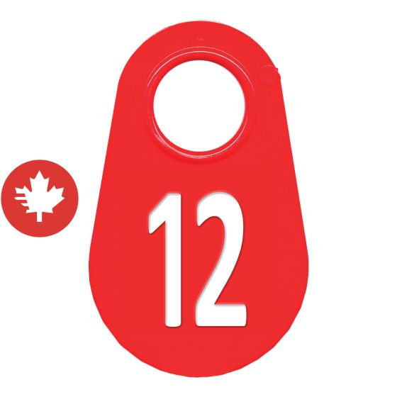 Étiquette d'identification pour le cou #12