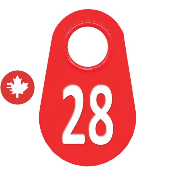 Étiquette d'identification pour le cou #28