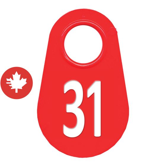 Étiquette d'identification pour le cou #31