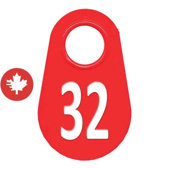 Étiquette d'identification pour le cou #32