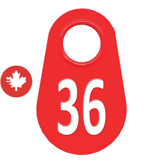 Étiquette d'identification pour le cou #36