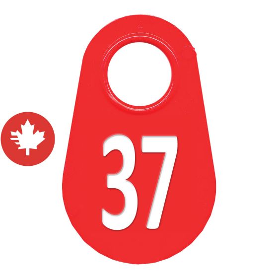 Étiquette d'identification pour le cou #37