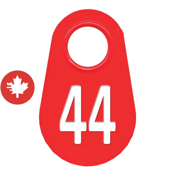 Étiquette d'identification pour le cou #44