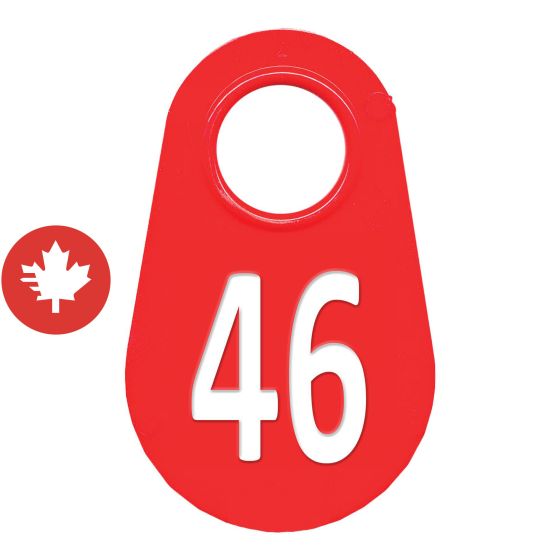 Étiquette d'identification pour le cou #46