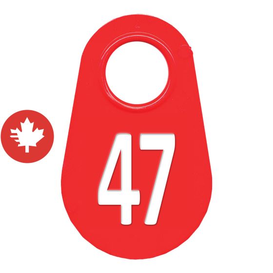 Étiquette d'identification pour le cou #47