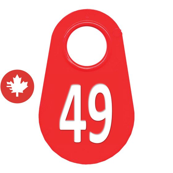 Étiquette d'identification pour le cou #49