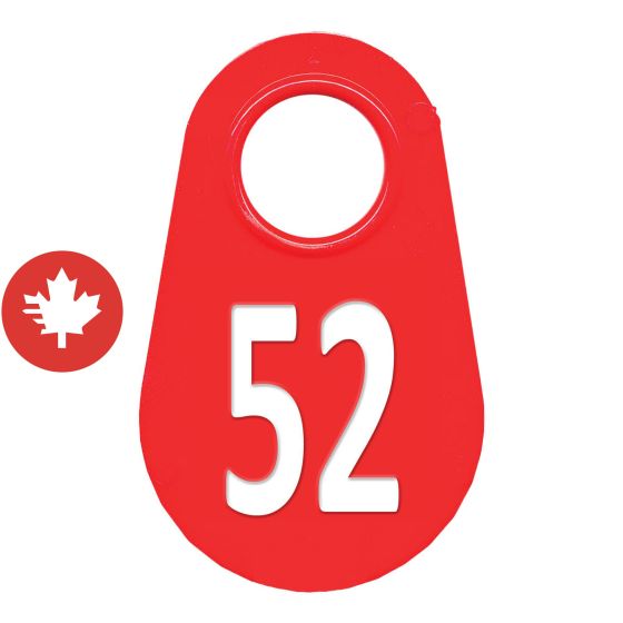 Étiquette d'identification pour le cou #52