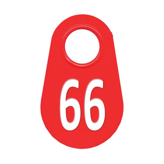 Étiquette d'identification pour le cou #66