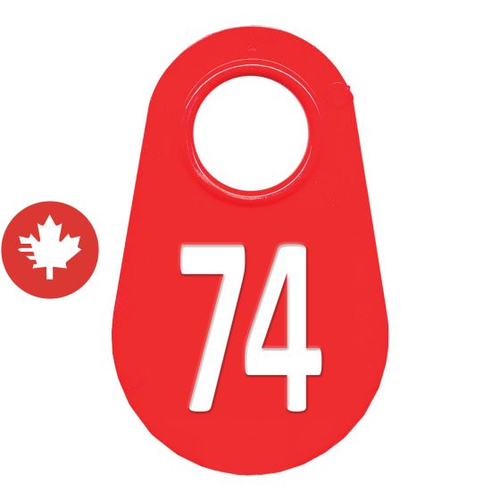 Étiquette d'identification pour le cou #74