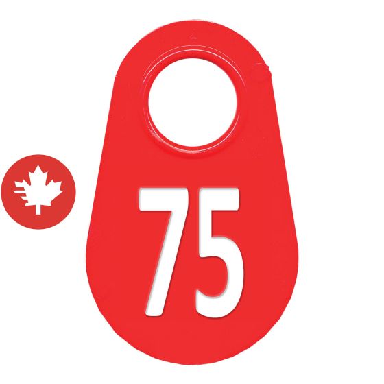 Étiquette d'identification pour le cou #75